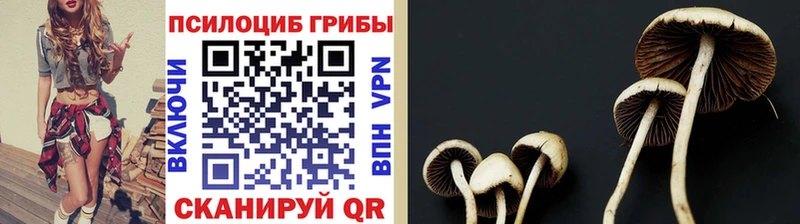 Псилоцибиновые грибы мицелий  гидра вход  Бугуруслан  как найти  